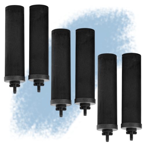 Black Berkey® Replacement Elements (6-Pack, Next Day Delivery)