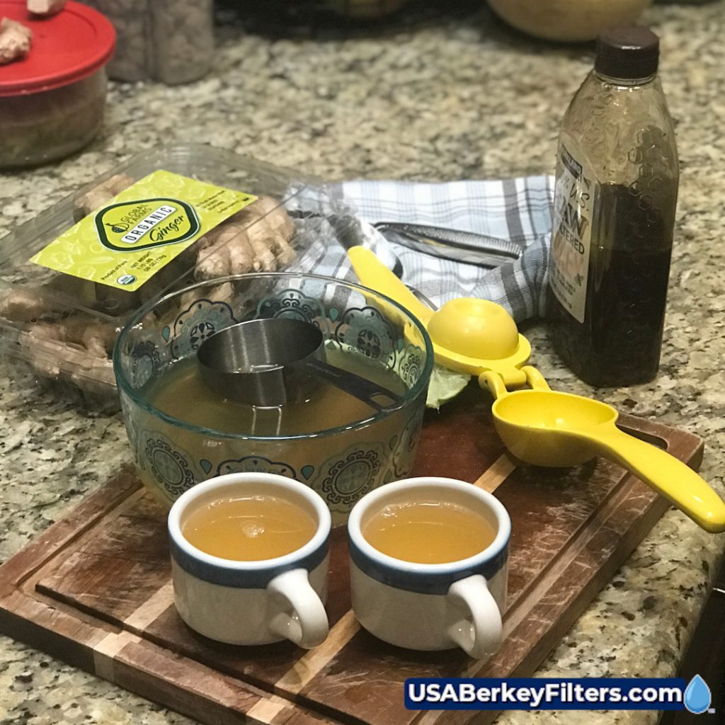 Fresh Ginger Root Tea with Berkey® Water USABF Ginger Recipe serve