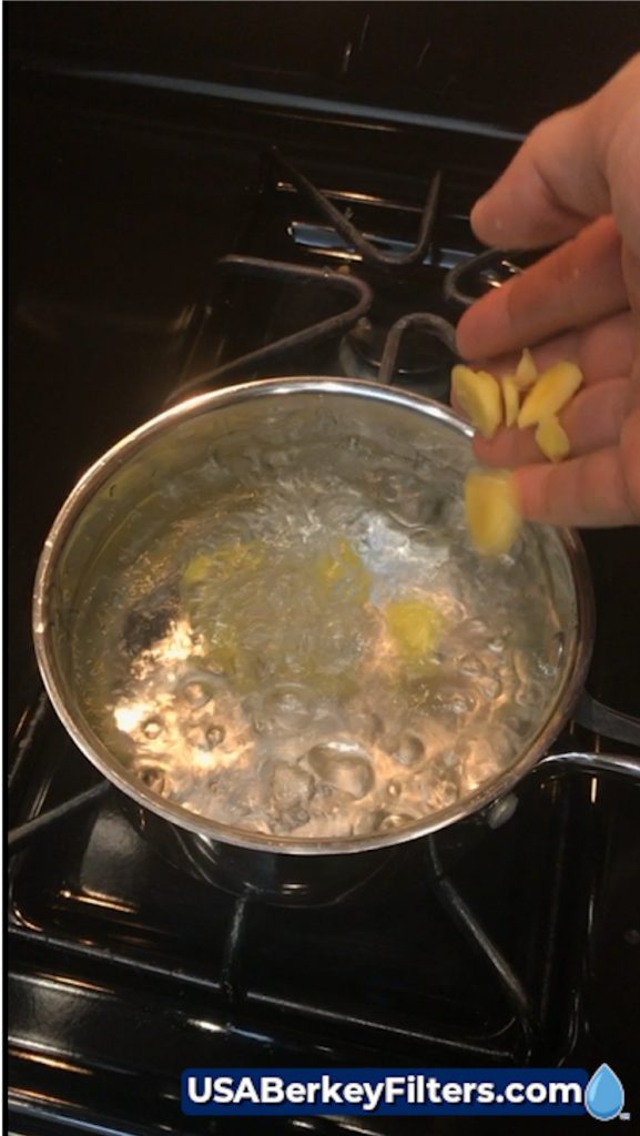 Fresh Ginger Root Tea with Berkey® Water USABF Ginger Tea Recipe add ginger 3