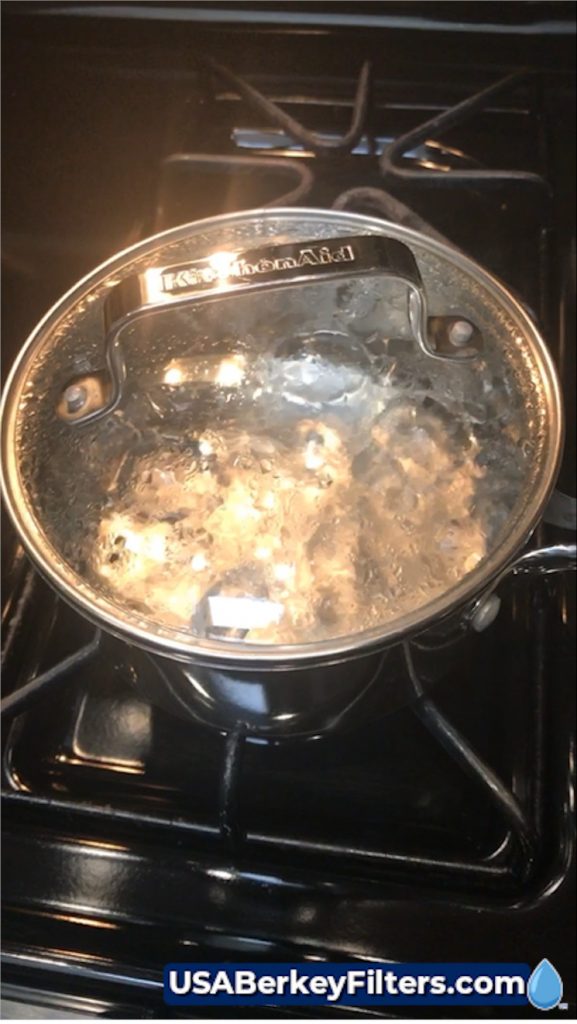 Fresh Ginger Root Tea with Berkey® Water USABF Ginger Tea Recipe boilwater 2