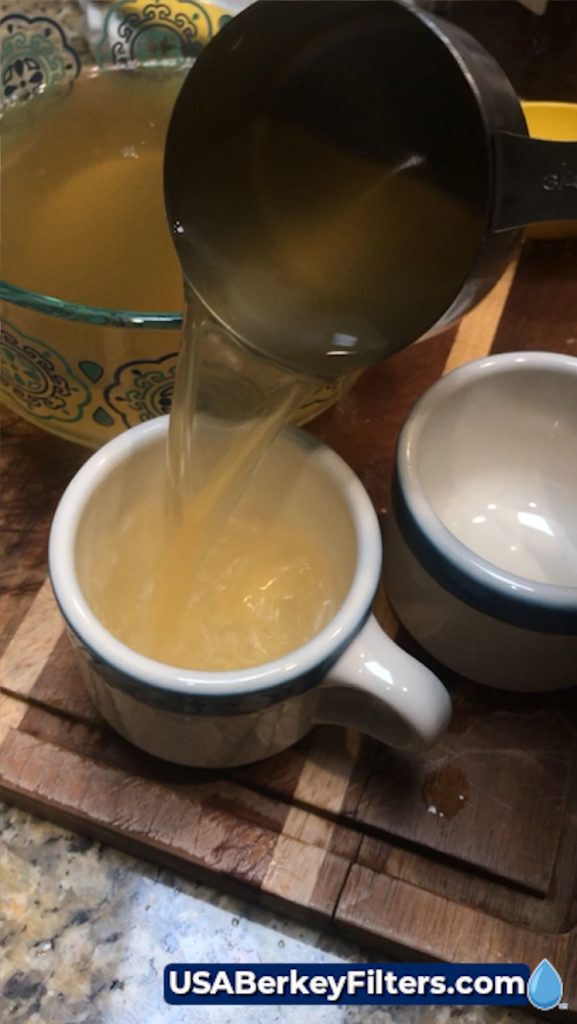 Fresh Ginger Root Tea with Berkey® Water USABF Ginger Tea Recipe serve warm 7
