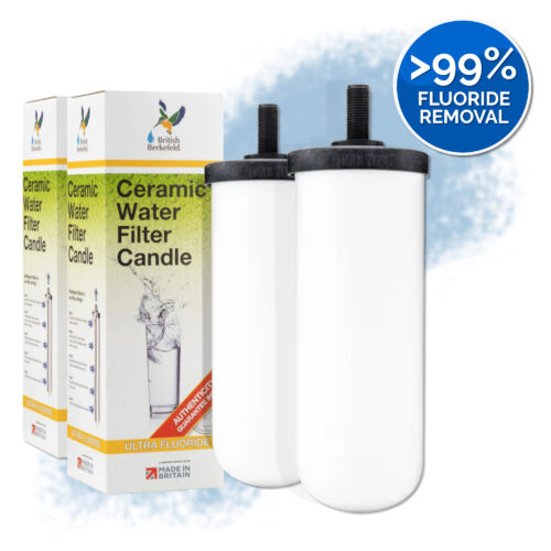 British Berkefeld 7" Ceramic Ultra Fluoride Water Filter (Set of 2)
